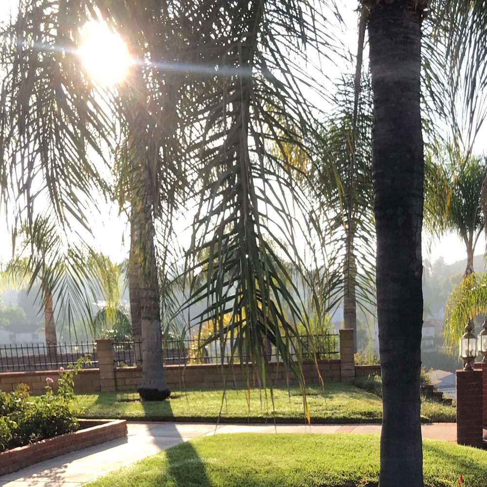 Meet your Posher, Muhamed